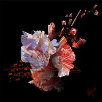 Soniya Amrit Patel - Voces flamencas - 40x40 - Arte digital - Dibond