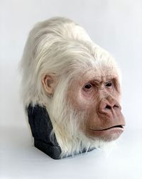 Jobs - Kibubu Albino - 40x50x40 - Silicona