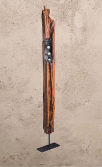 a&ntilde;oranza del tren 1