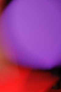 Luis Marin - Tropical Vibes 10 - 72x102 - Fotografia - Papel