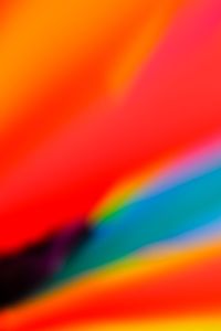 Luis Marin - Tropical Vibes 5 - 72x102 - Fotografia - Papel