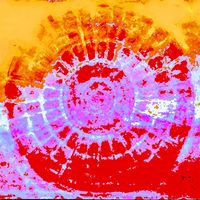 38-RODETE-Painting-And-Infographics-On-Paper-PILARVIVIENTE-1200-34x34cm