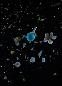 Yin Bunker - Universo - 50x70 - Fotogrfia - Papel (10)