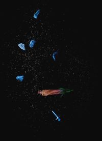 Yin Bunker - Universo - 50x70 - Fotogrfia - Papel (4)