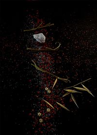 Yin Bunker - Universo - 50x70 - Fotogrfia - Papel (5)