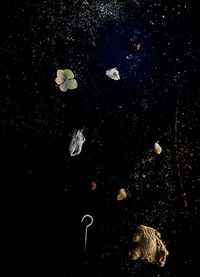 Yin Bunker - Universo - 50x70 - Fotogrfia - Papel (6)